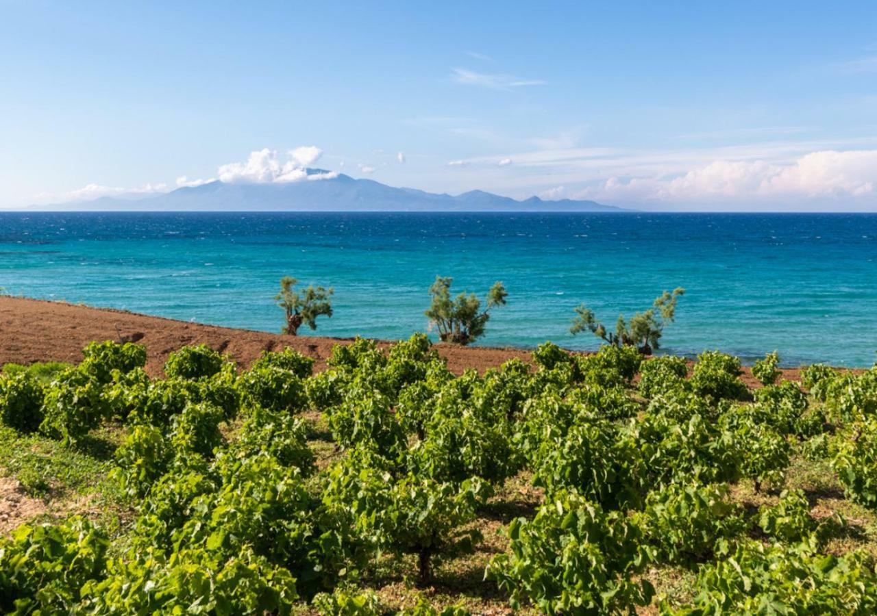 Villa Antonis Deluxe Apartments Amoudi Eksteriør bilde